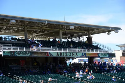 DSC_1694 (Large).JPG